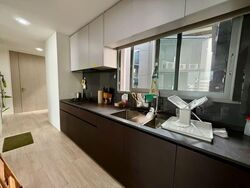 Amber Park (D15), Condominium #574407451